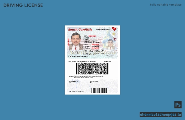 USA, South Carolina: Beispielansicht des Führerscheins (2020 – heute)